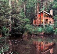 Woodlands Rainforest Retreat - Inverell Accommodation