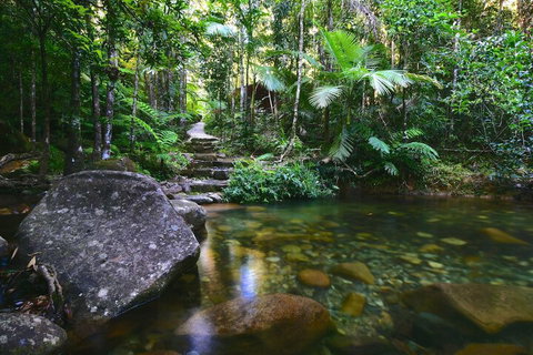 Daintree Cascades - Inverell Accommodation 2