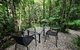 Daintree Cascades - thumb 4