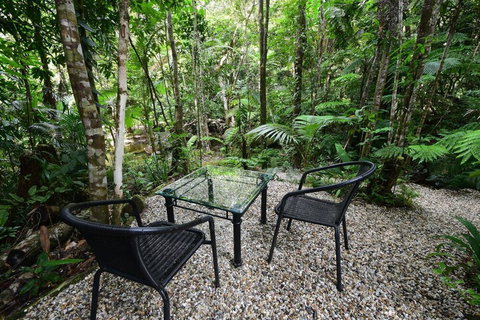 Daintree Cascades - Inverell Accommodation 4