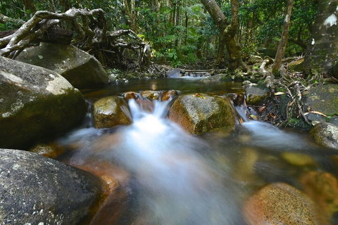 Daintree Cascades - Inverell Accommodation 1