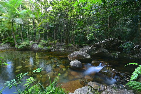 Daintree Cascades - Inverell Accommodation 5
