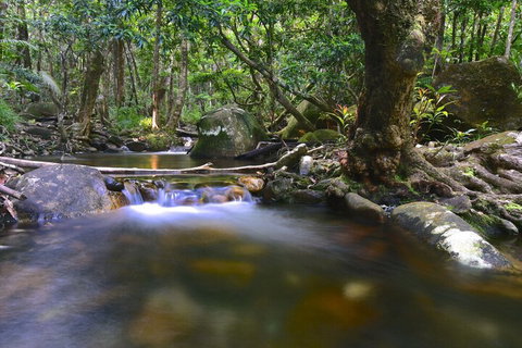 Daintree Cascades - Inverell Accommodation 6