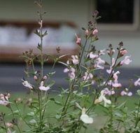 Serendipity on Allyn - Inverell Accommodation