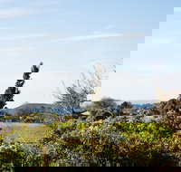 Botanica - Inverell Accommodation