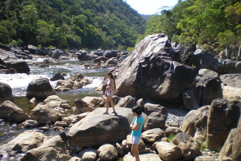 Daintree Village Hideaway - Inverell Accommodation 4