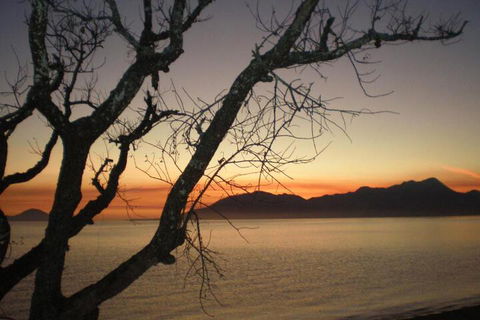 Daintree Village Hideaway - Inverell Accommodation 3