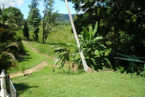 Daintree Village Hideaway - Inverell Accommodation 5