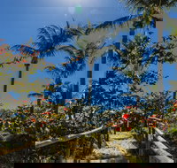 Great Keppel Island Hideaway - Inverell Accommodation