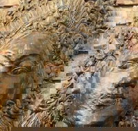 Ballina Palms Boutique Motel - Inverell Accommodation