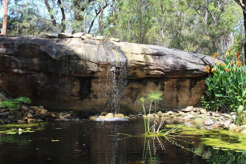 Storey Grange - Inverell Accommodation 5