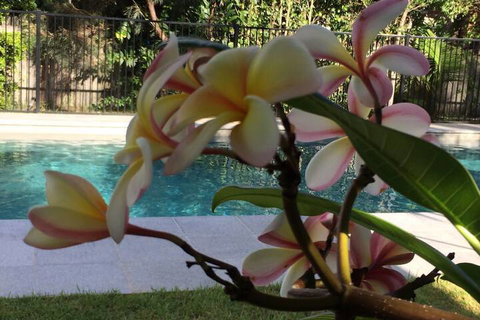 Arabella Garden Inn Motel - Inverell Accommodation 2