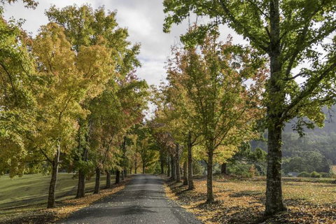 Clarendon Forest Retreat - Inverell Accommodation 1