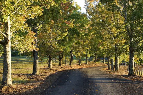 Clarendon Forest Retreat - Inverell Accommodation 2