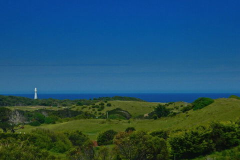 Island Breeze Motel - Inverell Accommodation 2