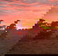 Corynnia Station - Inverell Accommodation