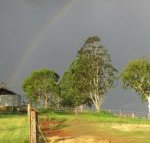 CBR Equine Cottage - Inverell Accommodation