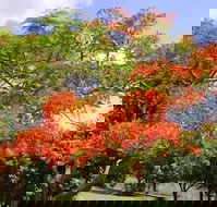 Eastwood Farm - Inverell Accommodation