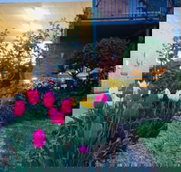 The Vines Motel and Cottages - Inverell Accommodation