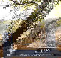 Ilkley Cottages - Inverell Accommodation