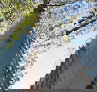 Salisbury Lodges - Inverell Accommodation