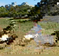 Country Cottages of Bridgetown - Inverell Accommodation