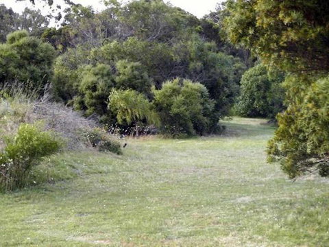 Absolute Waterfront Cottage - Inverell Accommodation 3