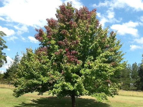 Glen Waverly Farmstay - Inverell Accommodation 2