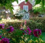 A Country Barn Retreat - Inverell Accommodation