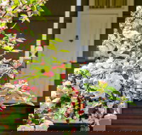 Apple Blossom Cottage - Inverell Accommodation