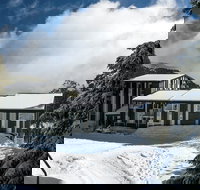 Elk at Falls - Inverell Accommodation