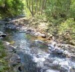 Tallaringa Views - Inverell Accommodation
