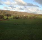 Mancuso Country Cottage Retreat - Inverell Accommodation