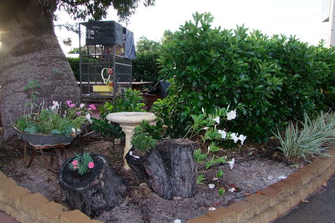 Acacia Motel - Inverell Accommodation 2