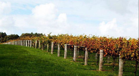 Arimia Restaurant And Winery - Inverell Accommodation 10