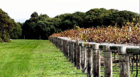 Arimia Restaurant And Winery - Inverell Accommodation 5