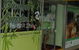 Bamboo Garden - thumb 3