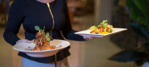Cafe Amphora - Inverell Accommodation 1