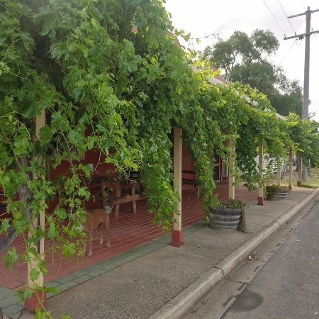 Frenchmans ACT Inverell Accommodation