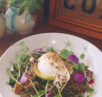 The Shak Organic Cafe  Wine Bar - Inverell Accommodation