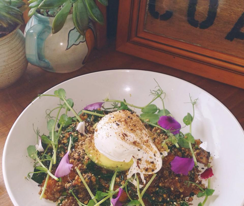 The Shak Organic Cafe & Wine Bar - Inverell Accommodation 0