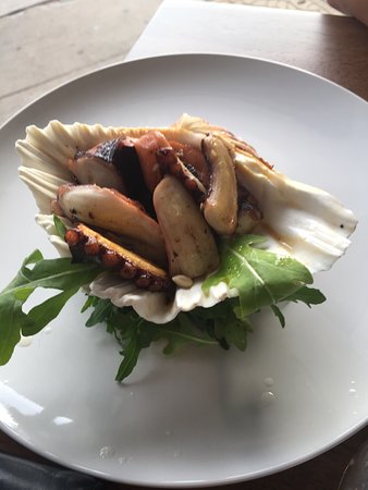 Olive At Hawker - Inverell Accommodation 0