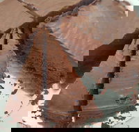 Yakiniku Gyuzo BBQ and Tapas - Inverell Accommodation