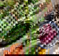 D For Dumplings - Inverell Accommodation