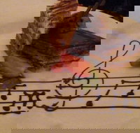 Infuzions Restaurant - Inverell Accommodation