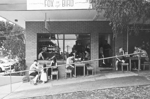 Fox And Bird Cafe - Inverell Accommodation 0