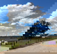 Short Sheep Micro-Winery - Inverell Accommodation