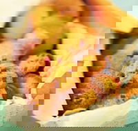 Mrs. Fields - Ringwood - Inverell Accommodation