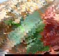 Parkwood Fish  Chips - Inverell Accommodation