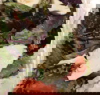 Ragazzi - Inverell Accommodation